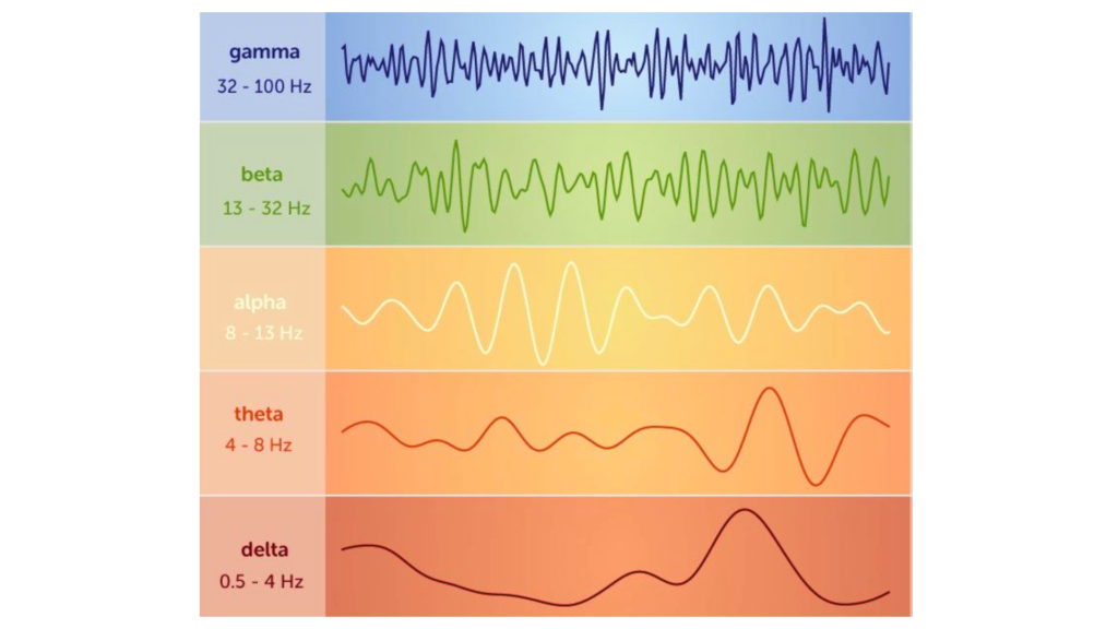 schema delle onde cerebrali gamma, beta, alpha, theta, delta